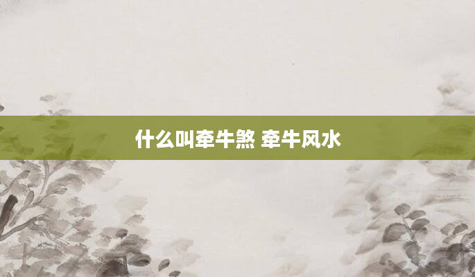什么叫牵牛煞 牵牛风水
