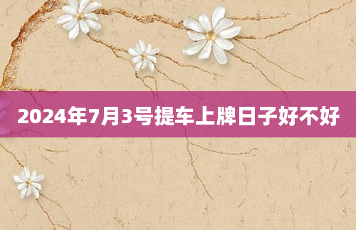 2024年7月3号提车上牌日子好不好