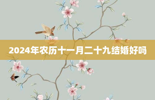2024年农历十一月二十九结婚好吗