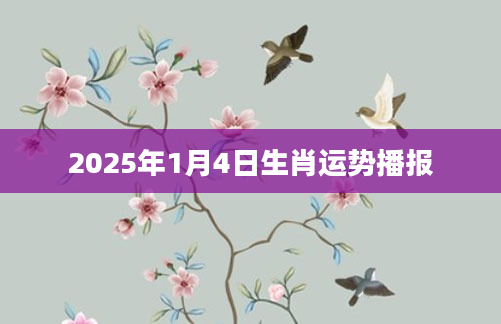 2025年1月4日生肖运势播报
