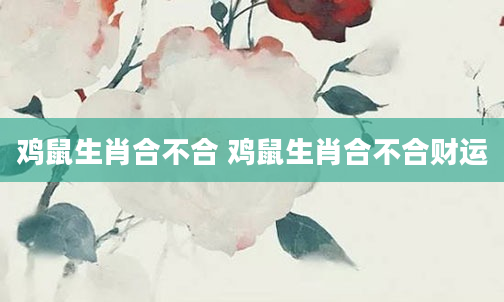 鸡鼠生肖合不合 鸡鼠生肖合不合财运