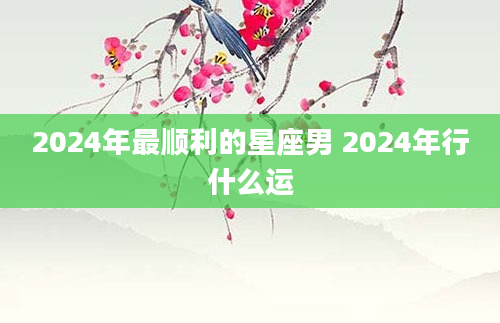 2024年最顺利的星座男 2024年行什么运