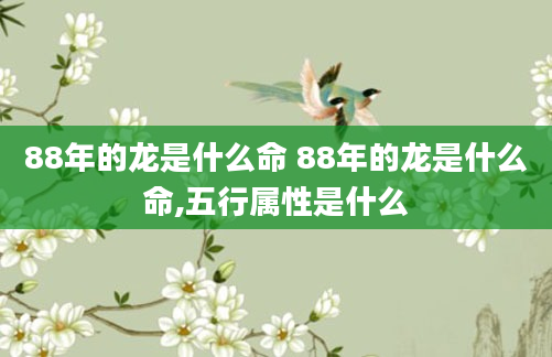 88年的龙是什么命 88年的龙是什么命,五行属性是什么