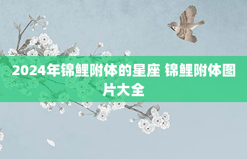 2024年锦鲤附体的星座 锦鲤附体图片大全
