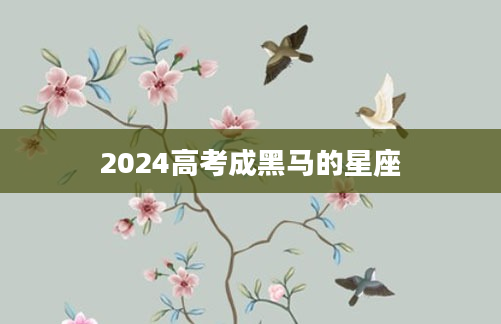 2024高考成黑马的星座