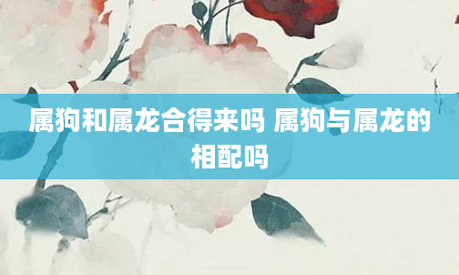 属狗和属龙合得来吗 属狗与属龙的相配吗