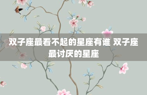 双子座最看不起的星座有谁 双子座最讨厌的星座
