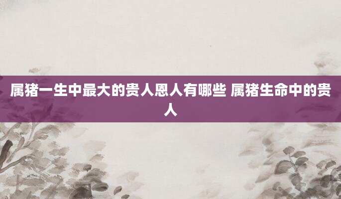 属猪一生中最大的贵人恩人有哪些 属猪生命中的贵人