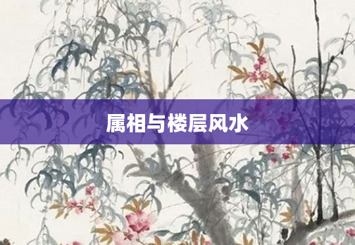 属相与楼层风水