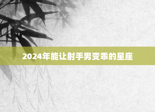 2024年能让射手男变乖的星座