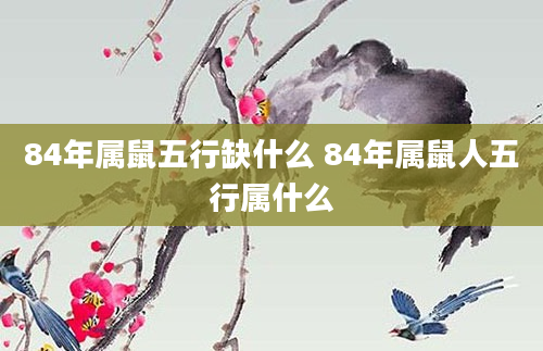 84年属鼠五行缺什么 84年属鼠人五行属什么