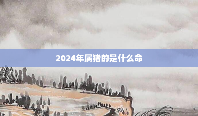 2024年属猪的是什么命