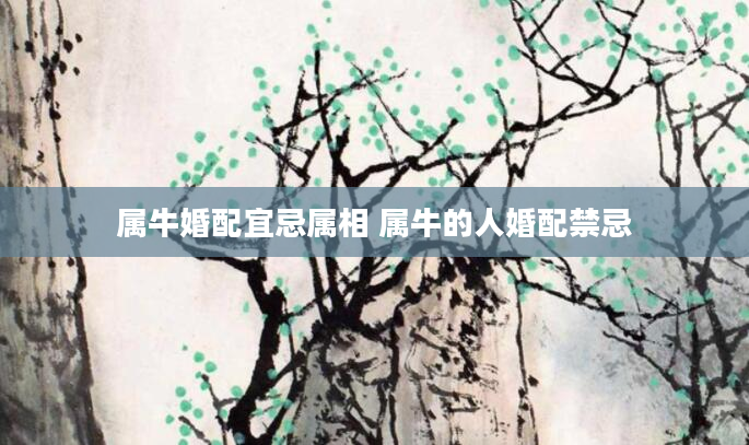 属牛婚配宜忌属相 属牛的人婚配禁忌