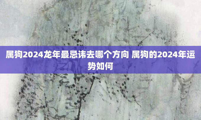 属狗2024龙年最忌讳去哪个方向 属狗的2024年运势如何