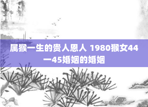属猴一生的贵人恩人 1980猴女44一45婚姻的婚姻