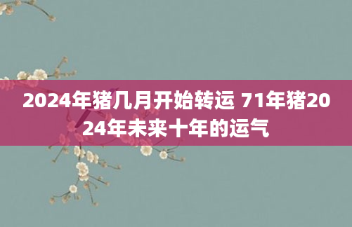 2024年猪几月开始转运 71年猪2024年未来十年的运气
