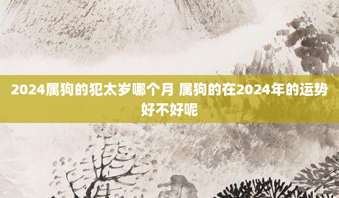 2024属狗的犯太岁哪个月 属狗的在2024年的运势好不好呢