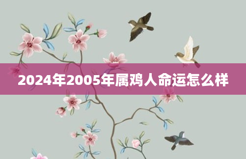 2024年2005年属鸡人命运怎么样