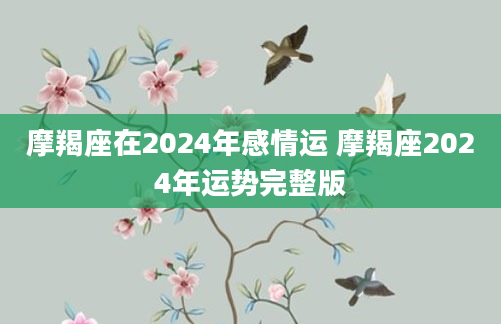 摩羯座在2024年感情运 摩羯座2024年运势完整版