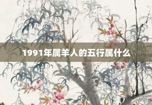 1991年属羊人的五行属什么