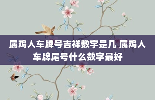 属鸡人车牌号吉祥数字是几 属鸡人车牌尾号什么数字最好