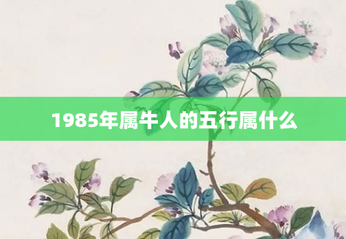 1985年属牛人的五行属什么