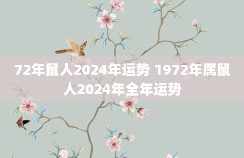 72年鼠人2024年运势 1972年属鼠人2024年全年运势