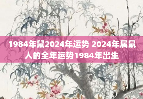 1984年鼠2024年运势 2024年属鼠人的全年运势1984年出生