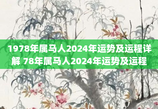 1978年属马人2024年运势及运程详解 78年属马人2024年运势及运程