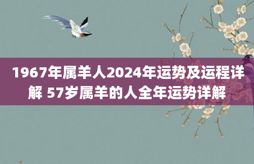 1967年属羊人2024年运势及运程详解 57岁属羊的人全年运势详解