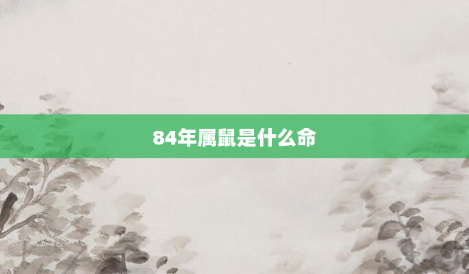 84年属鼠是什么命