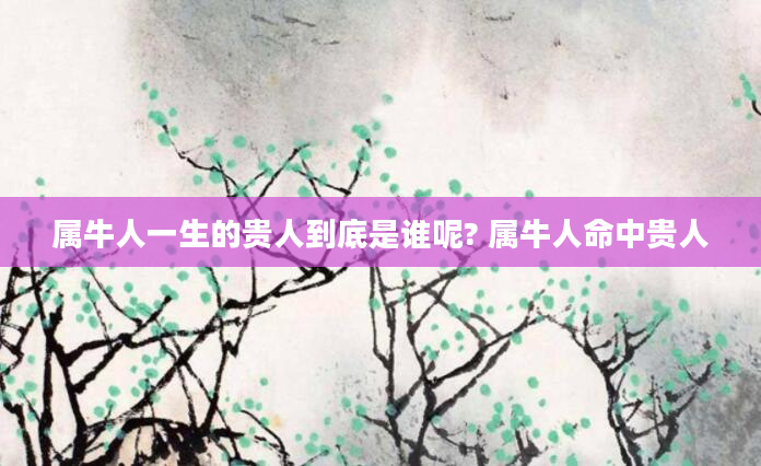 属牛人一生的贵人到底是谁呢? 属牛人命中贵人