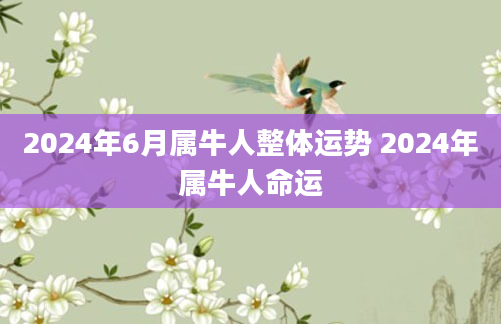 2024年6月属牛人整体运势 2024年属牛人命运