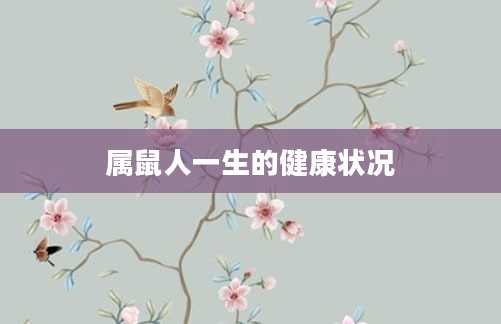 属鼠人一生的健康状况