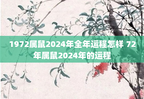 1972属鼠2024年全年运程怎样 72年属鼠2024年的运程