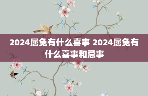 2024属兔有什么喜事 2024属兔有什么喜事和忌事