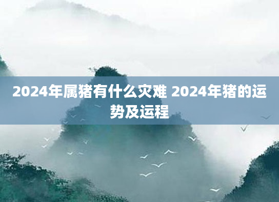 2024年属猪有什么灾难 2024年猪的运势及运程