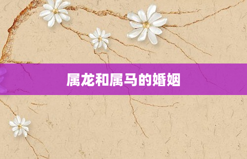 属龙和属马的婚姻