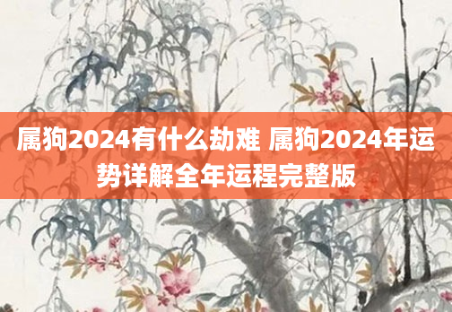 属狗2024有什么劫难 属狗2024年运势详解全年运程完整版