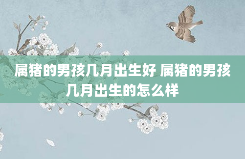 属猪的男孩几月出生好 属猪的男孩几月出生的怎么样