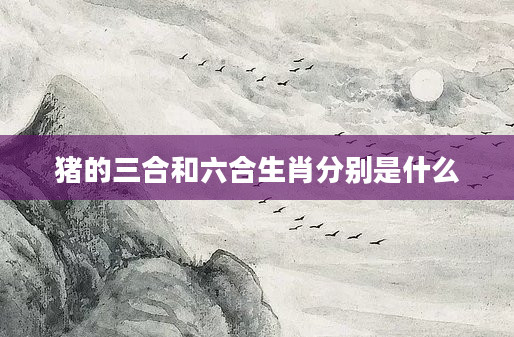 猪的三合和六合生肖分别是什么