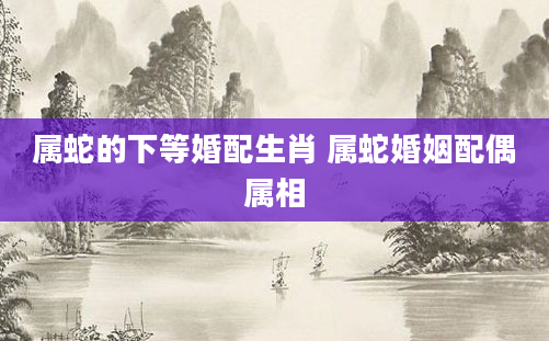 属蛇的下等婚配生肖 属蛇婚姻配偶属相