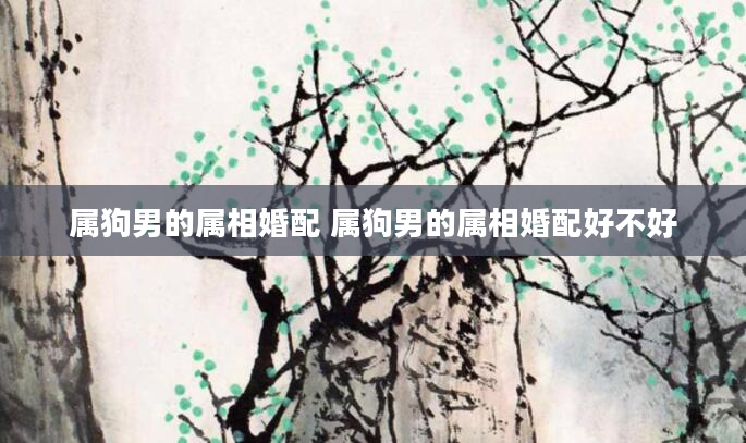 属狗男的属相婚配 属狗男的属相婚配好不好
