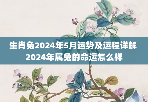生肖兔2024年5月运势及运程详解 2024年属兔的命运怎么样