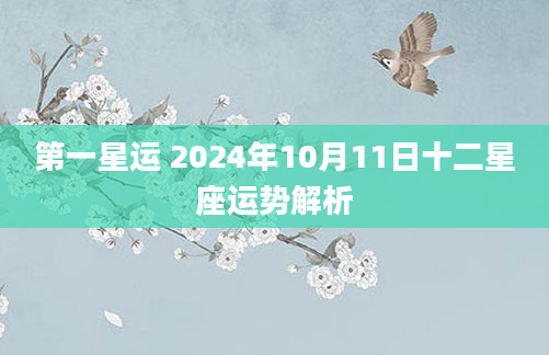 第一星运 2024年10月11日十二星座运势解析