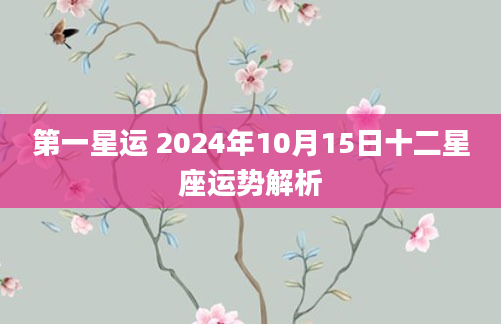 第一星运 2024年10月15日十二星座运势解析