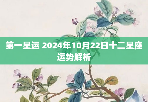 第一星运 2024年10月22日十二星座运势解析