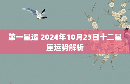 第一星运 2024年10月23日十二星座运势解析