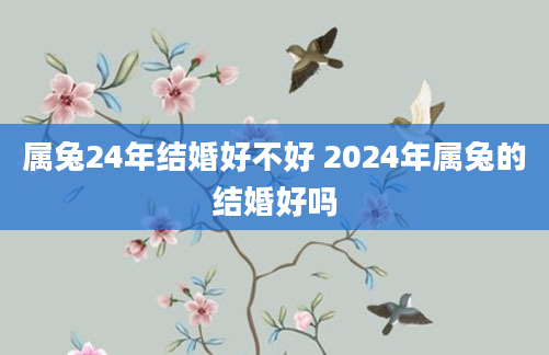 属兔24年结婚好不好 2024年属兔的结婚好吗