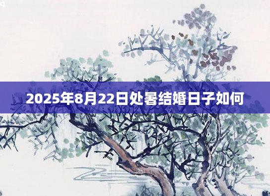 2025年8月22日处暑结婚日子如何